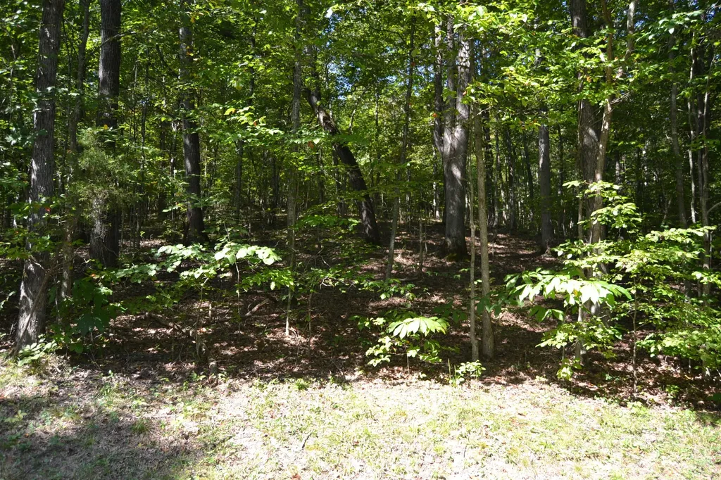 2 Rolling Mill Road Eddyville KY 42038