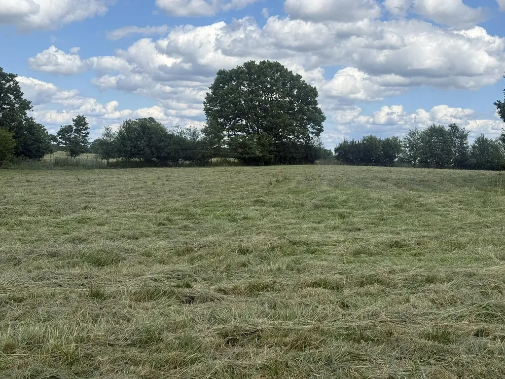 5253 Raymond Road Mays Lick KY 41055