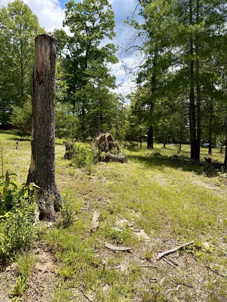 651 Tilleys Lane Wellington KY 40387