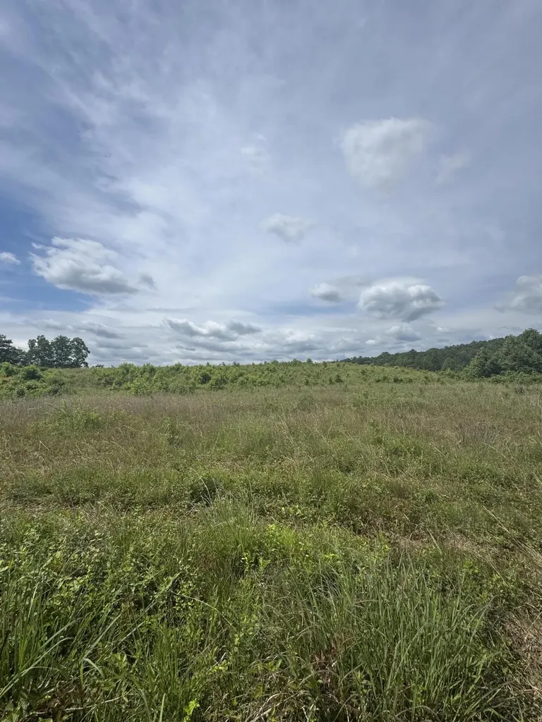 003 Kentucky 770 Corbin KY 40701