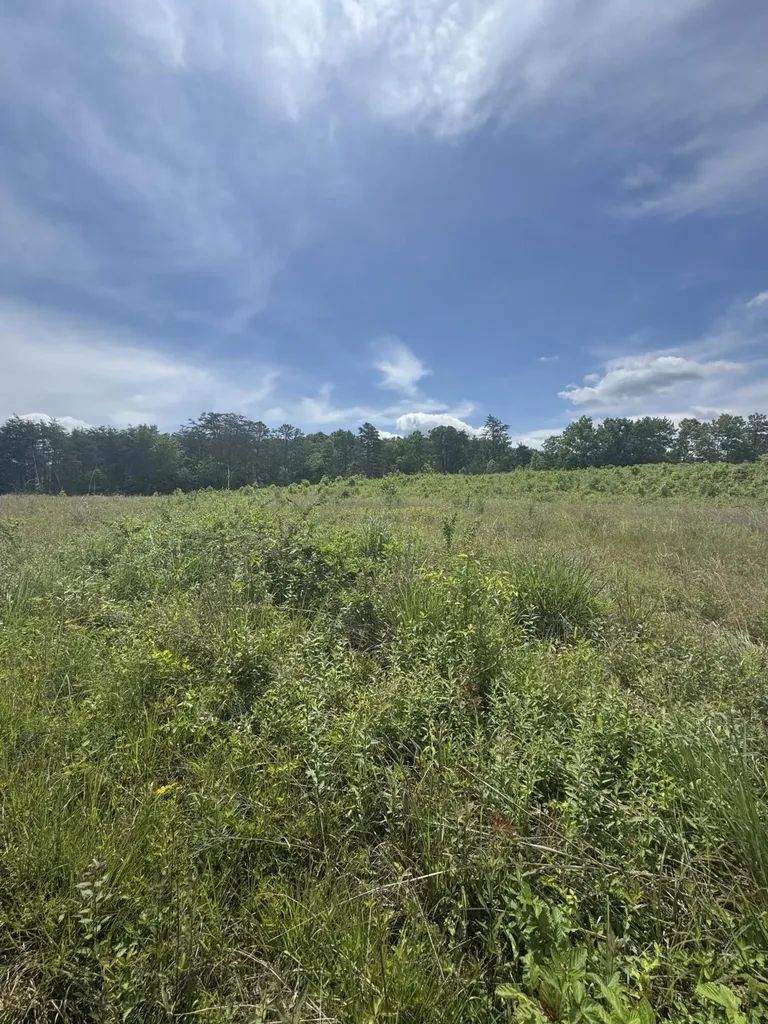 003 Kentucky 770 Corbin KY 40701