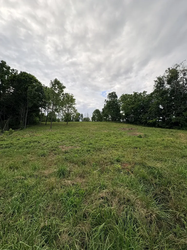 1150 Trumbo Road Olive Hill KY 41164