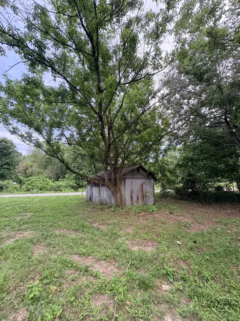 1150 Trumbo Road Olive Hill KY 41164