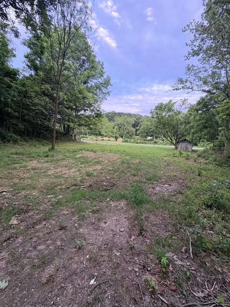 1150 Trumbo Road Olive Hill KY 41164