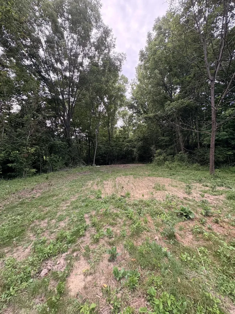 1150 Trumbo Road Olive Hill KY 41164