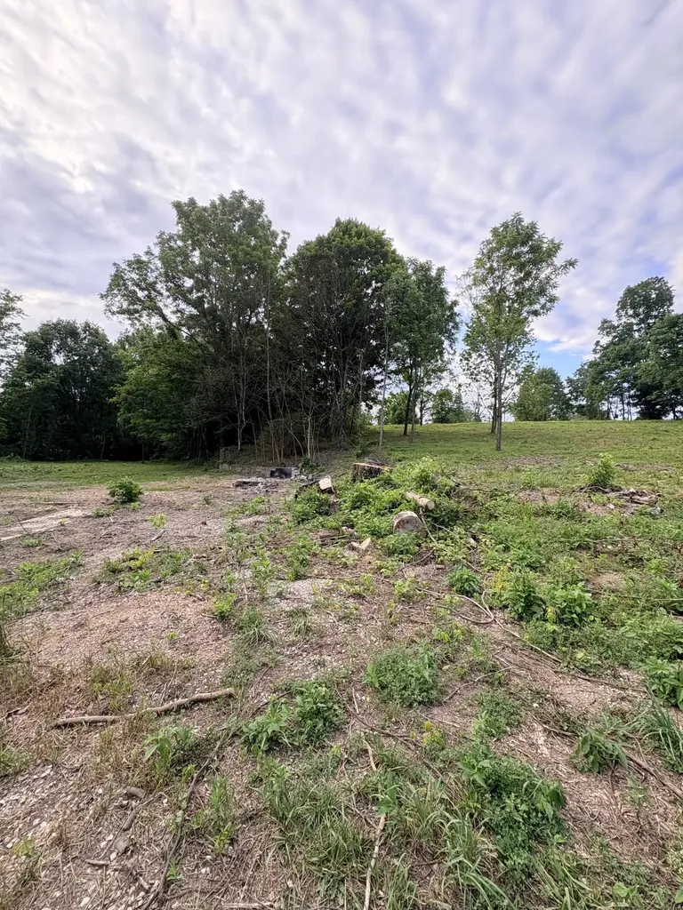 1150 Trumbo Road Olive Hill KY 41164