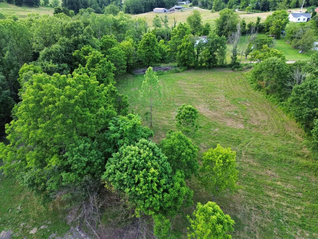 1150 Trumbo Road Olive Hill KY 41164
