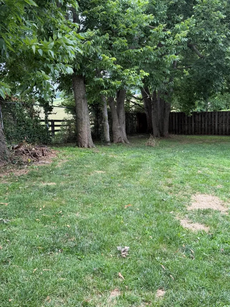 407 Sweetbay Court Versailles KY 40383
