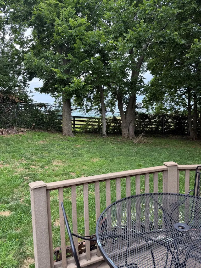 407 Sweetbay Court Versailles KY 40383