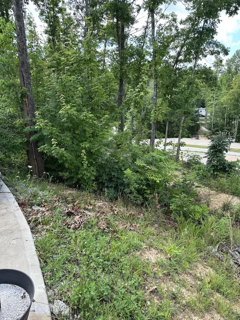 40 Anna Kate Trail Corbin KY 40701