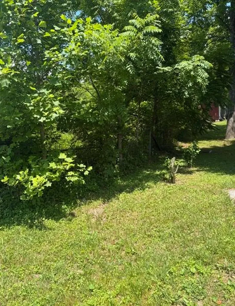 270 Mcfadden Cemetery Road London KY 40744