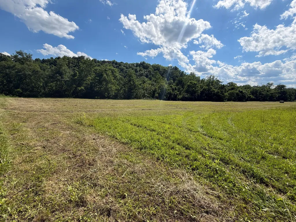 2375 John Watts Road Nicholasville KY 40356