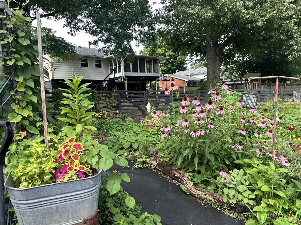1265 Nice Drive Lexington KY 40504