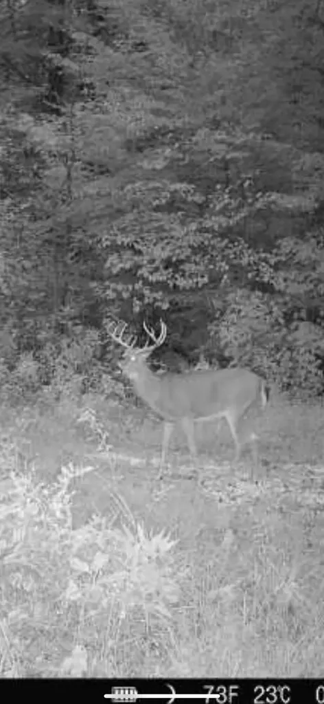 1510 State Highway 865 Eubank KY 42567