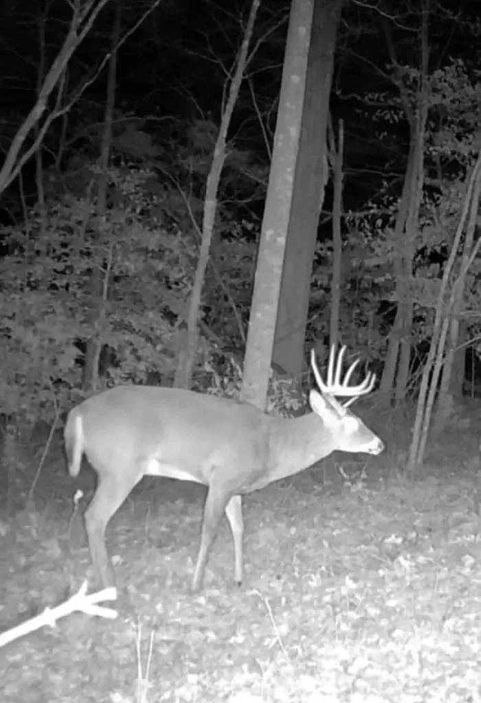 1510 State Highway 865 Eubank KY 42567