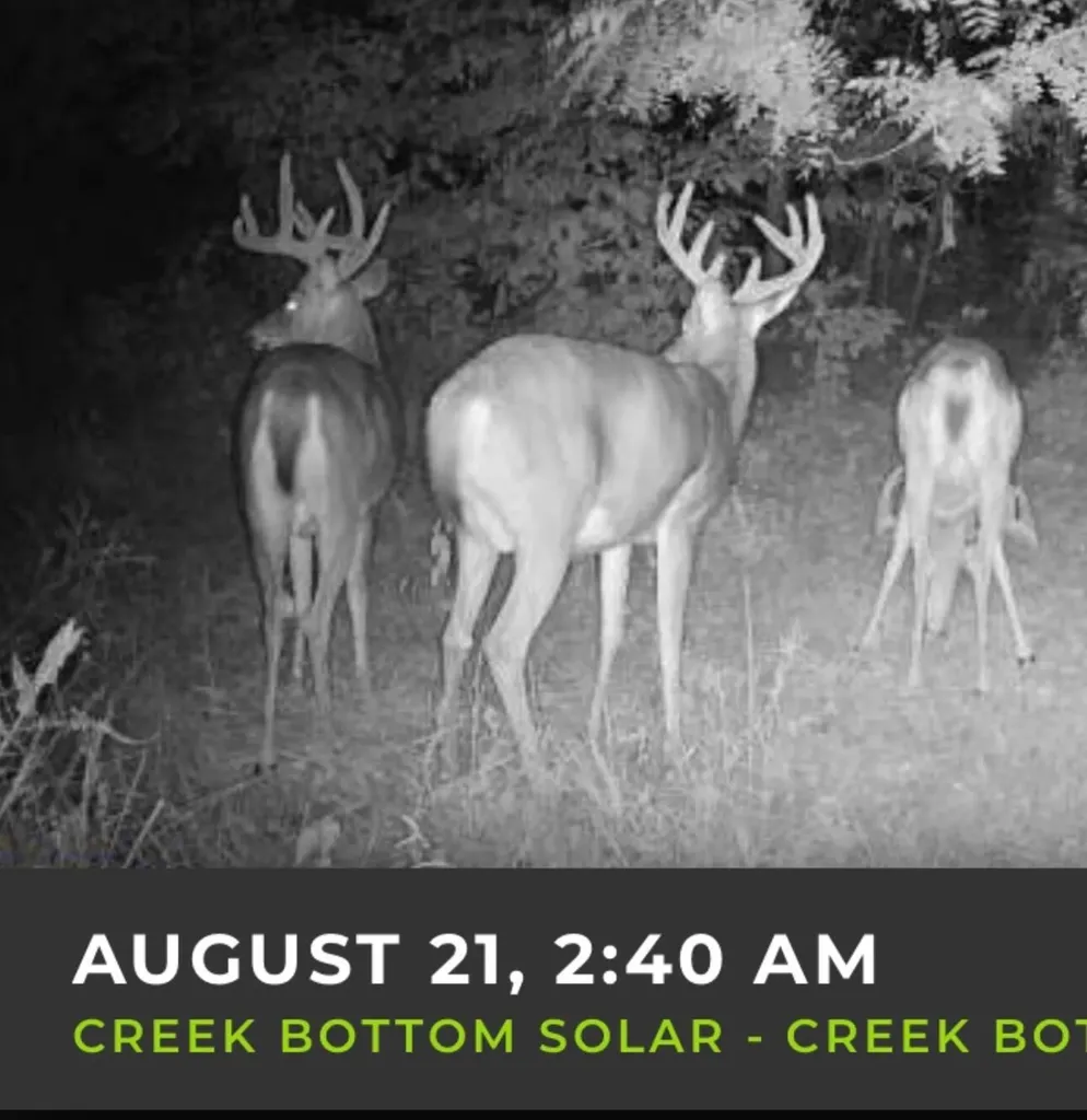 1510 State Highway 865 Eubank KY 42567