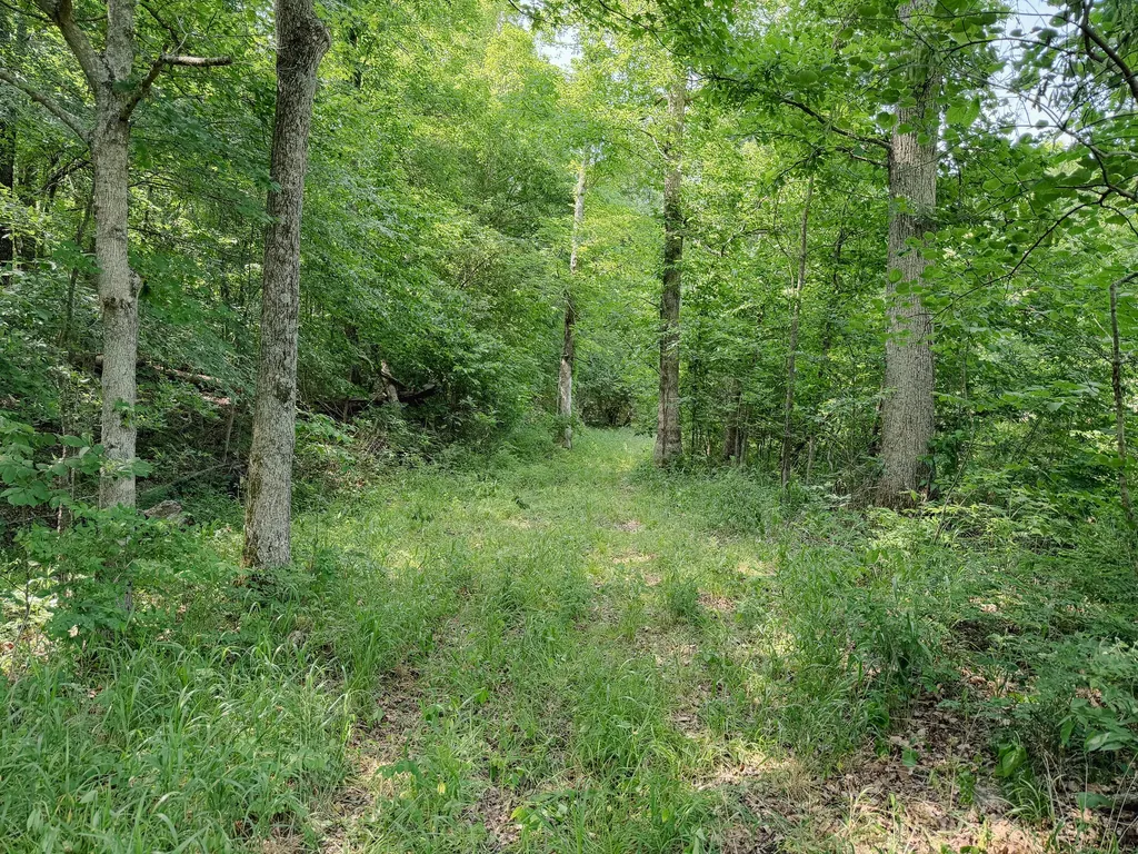 976 Bugs Branch Road Marion KY 42064