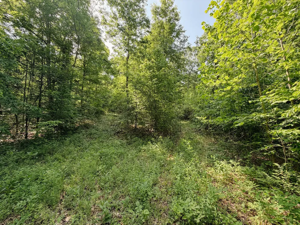 976 Bugs Branch Road Marion KY 42064