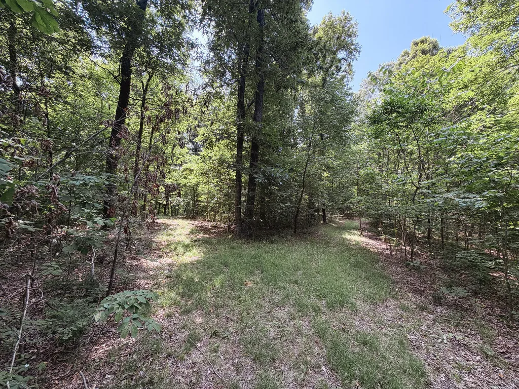 976 Bugs Branch Road Marion KY 42064