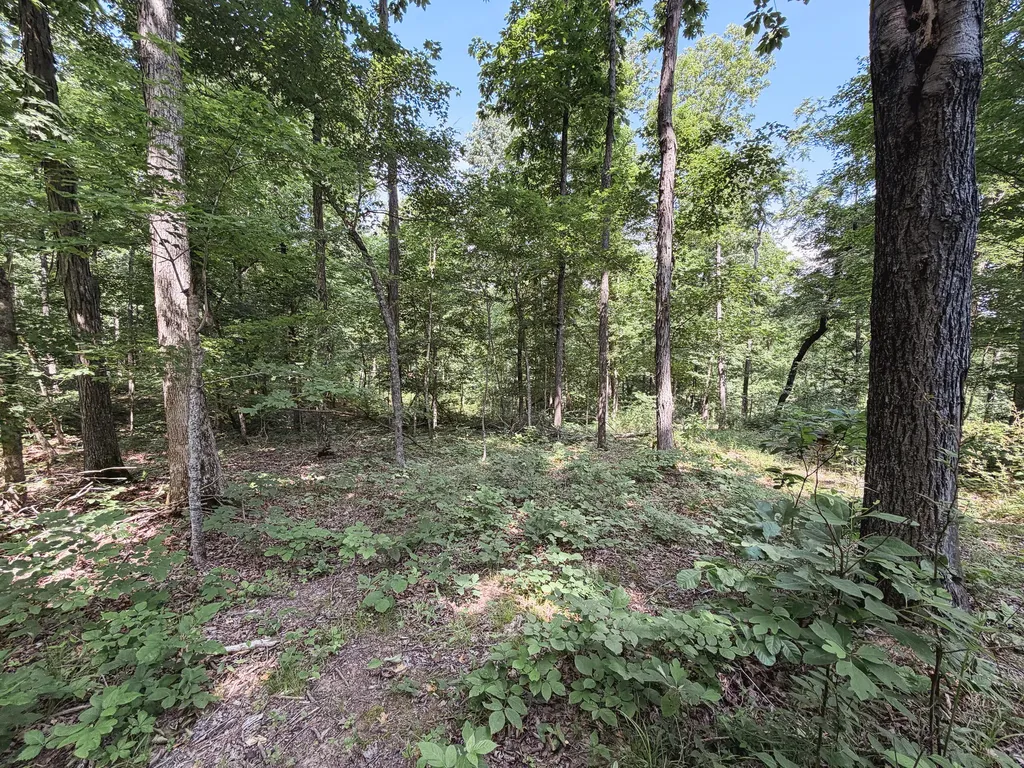976 Bugs Branch Road Marion KY 42064