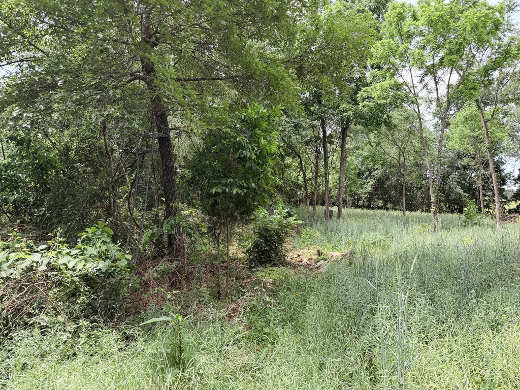 976 Bugs Branch Road Marion KY 42064