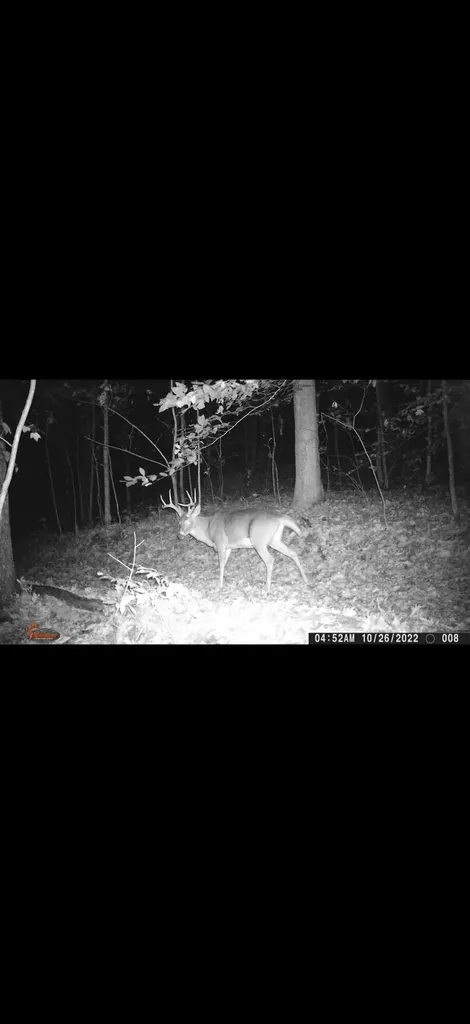 1407 Denton Phelps Road Somerset KY 42501
