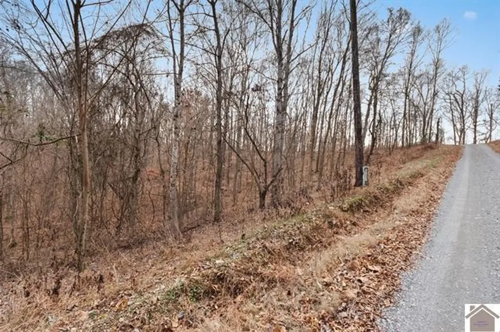 000 0 Hurricane Cir Circle Cadiz KY 42211