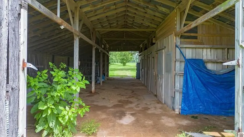 893 Peach Orchard Road Murray KY 42071