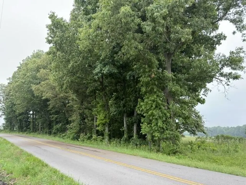 Parcel #026-0-0016 Taylor Store Road Murray KY 42071