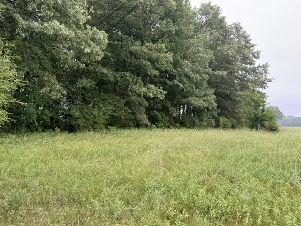 Parcel #026-0-0016 Taylor Store Road Murray KY 42071