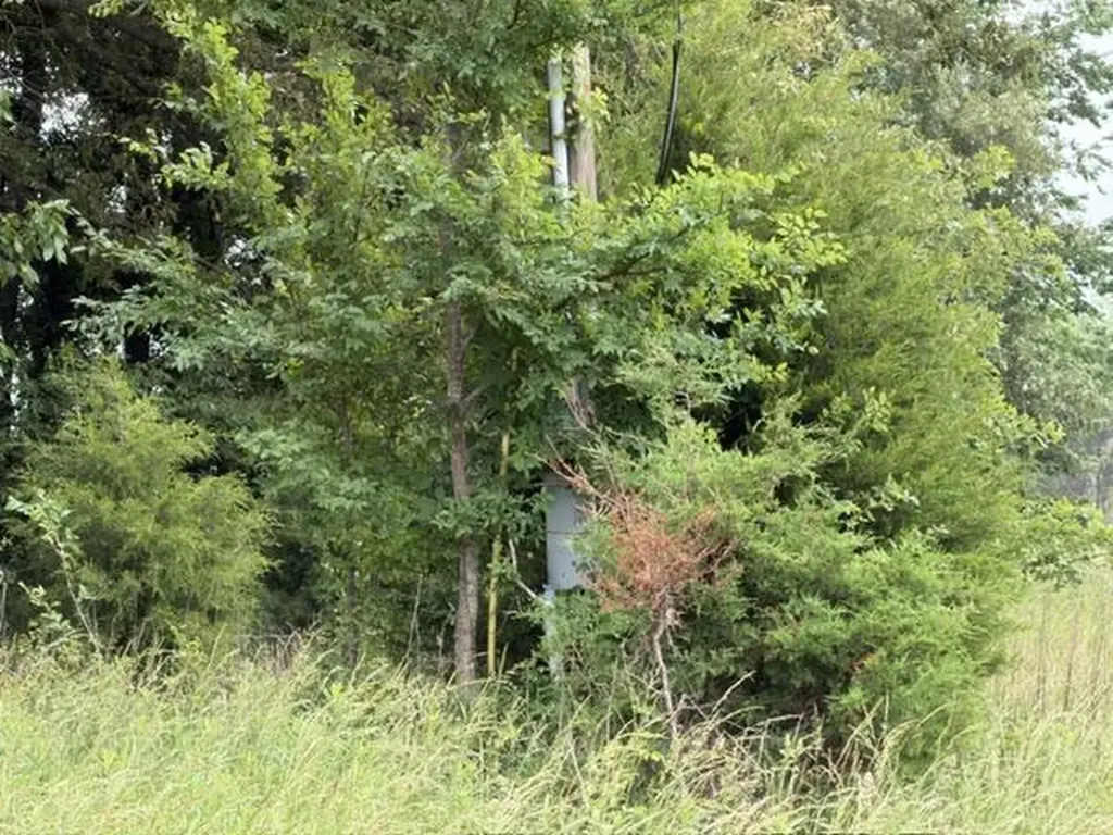 Parcel #026-0-0016 Taylor Store Road Murray KY 42071