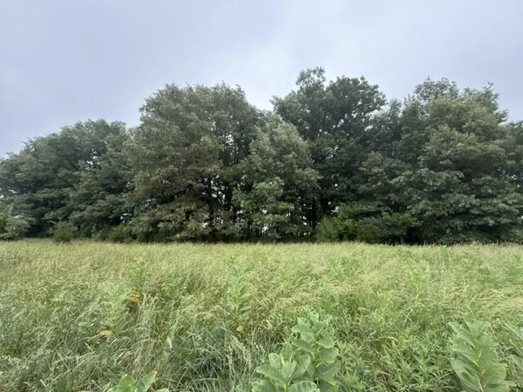Parcel #026-0-0016 Taylor Store Road Murray KY 42071