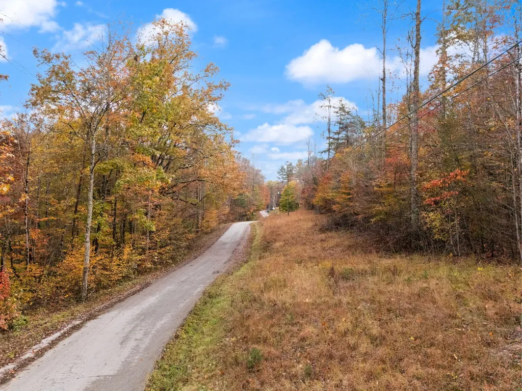 0000 Wild Ridge Road Morehead KY 40351