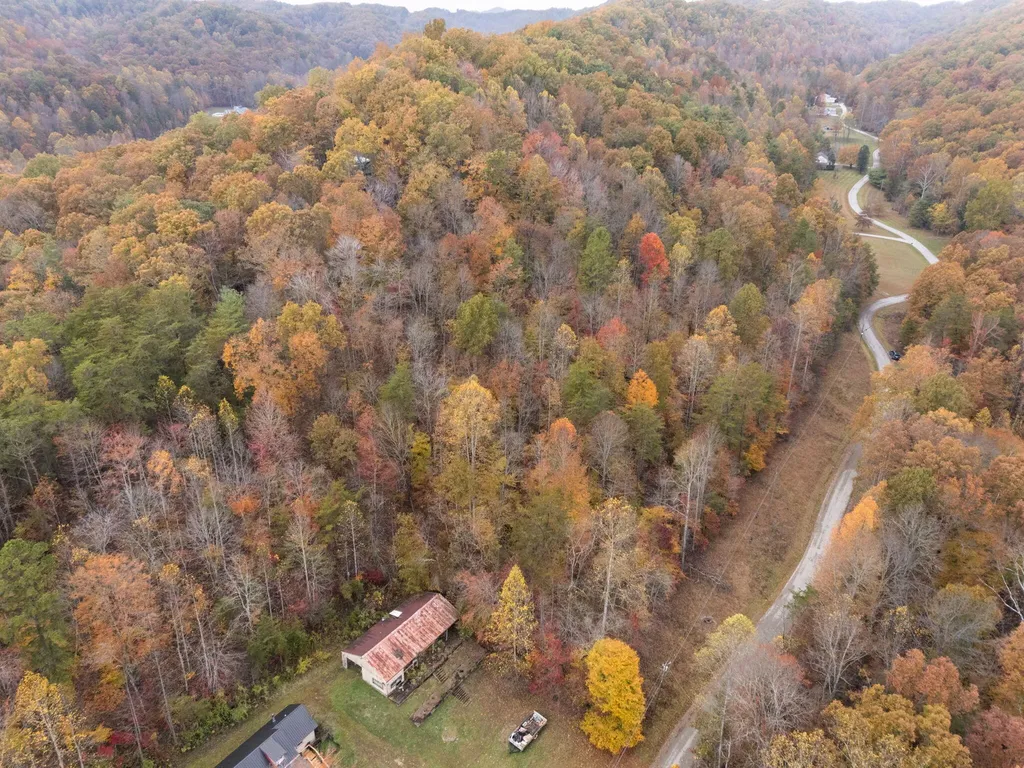 0000 Wild Ridge Road Morehead KY 40351