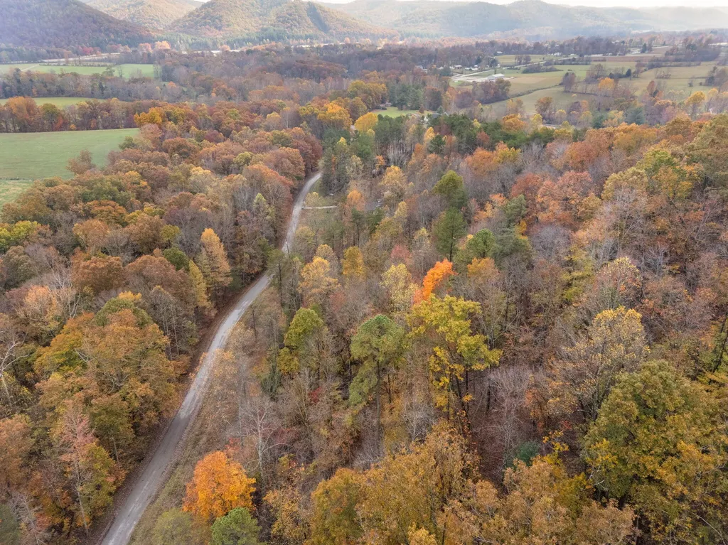 0000 Wild Ridge Road Morehead KY 40351