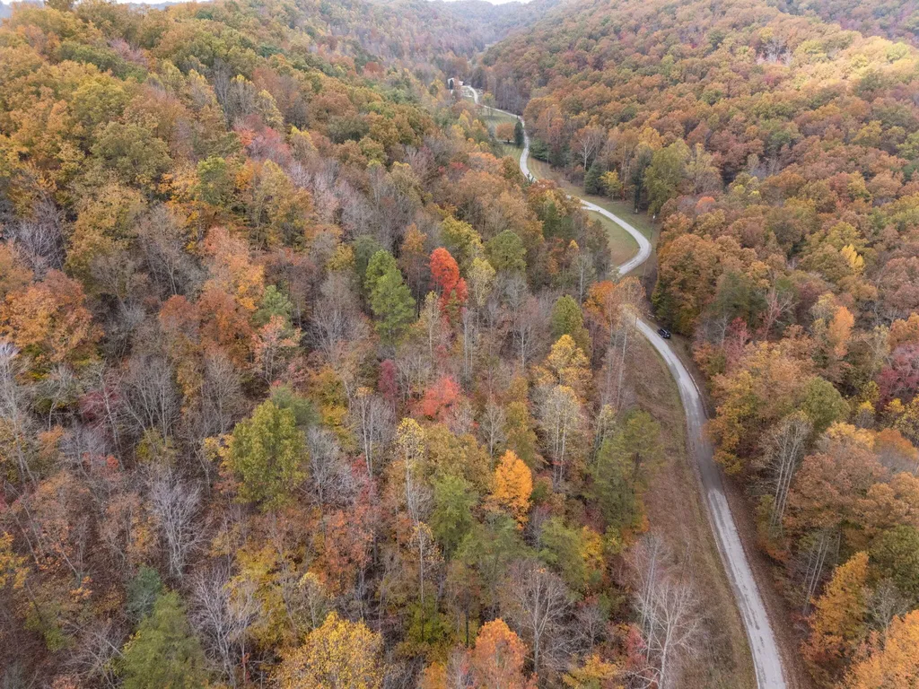 0000 Wild Ridge Road Morehead KY 40351
