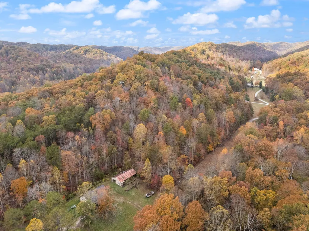 0000 Wild Ridge Road Morehead KY 40351