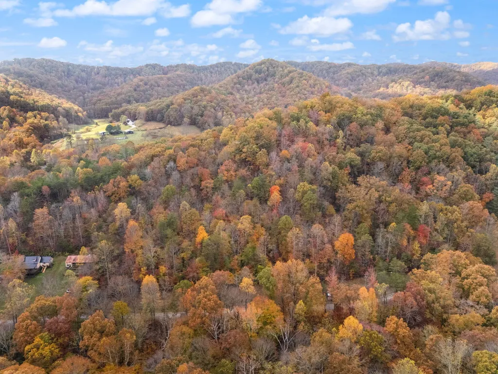 0000 Wild Ridge Road Morehead KY 40351
