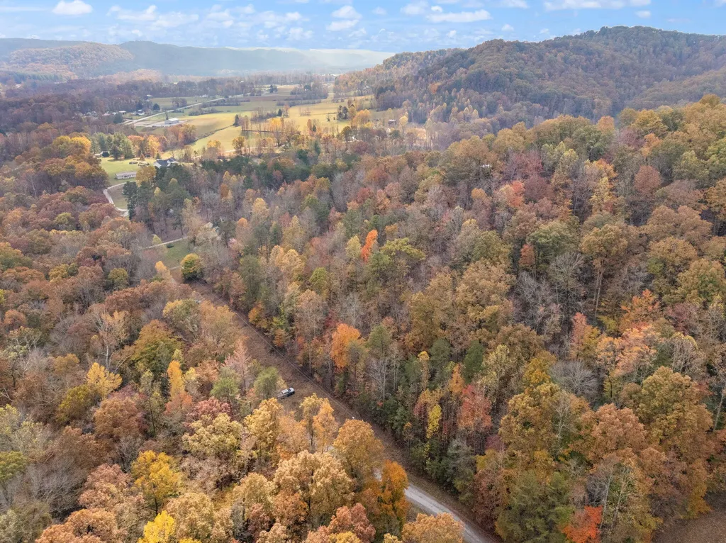 0000 Wild Ridge Road Morehead KY 40351