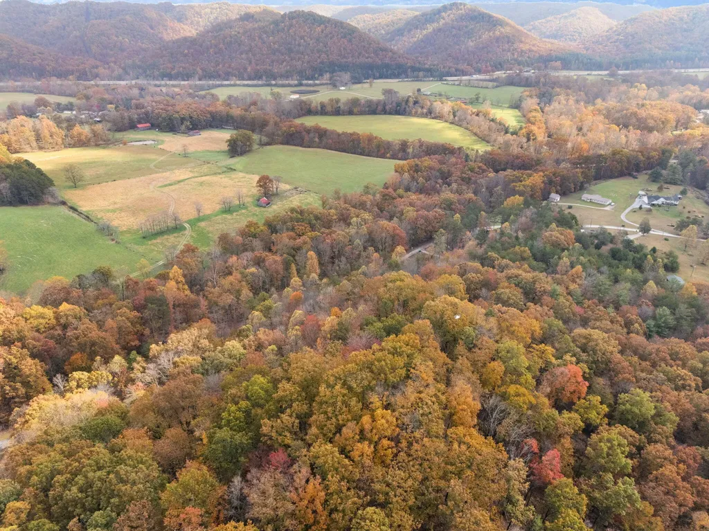 0000 Wild Ridge Road Morehead KY 40351