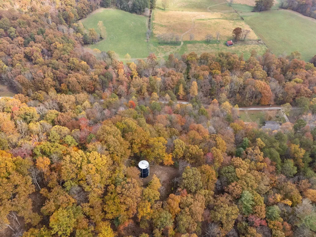 0000 Wild Ridge Road Morehead KY 40351