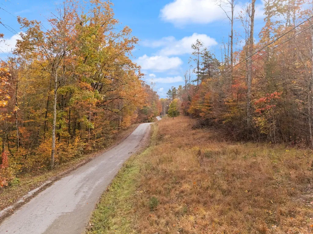 0000 Wild Ridge Road Morehead KY 40351