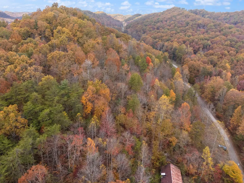 0000 Wild Ridge Road Morehead KY 40351