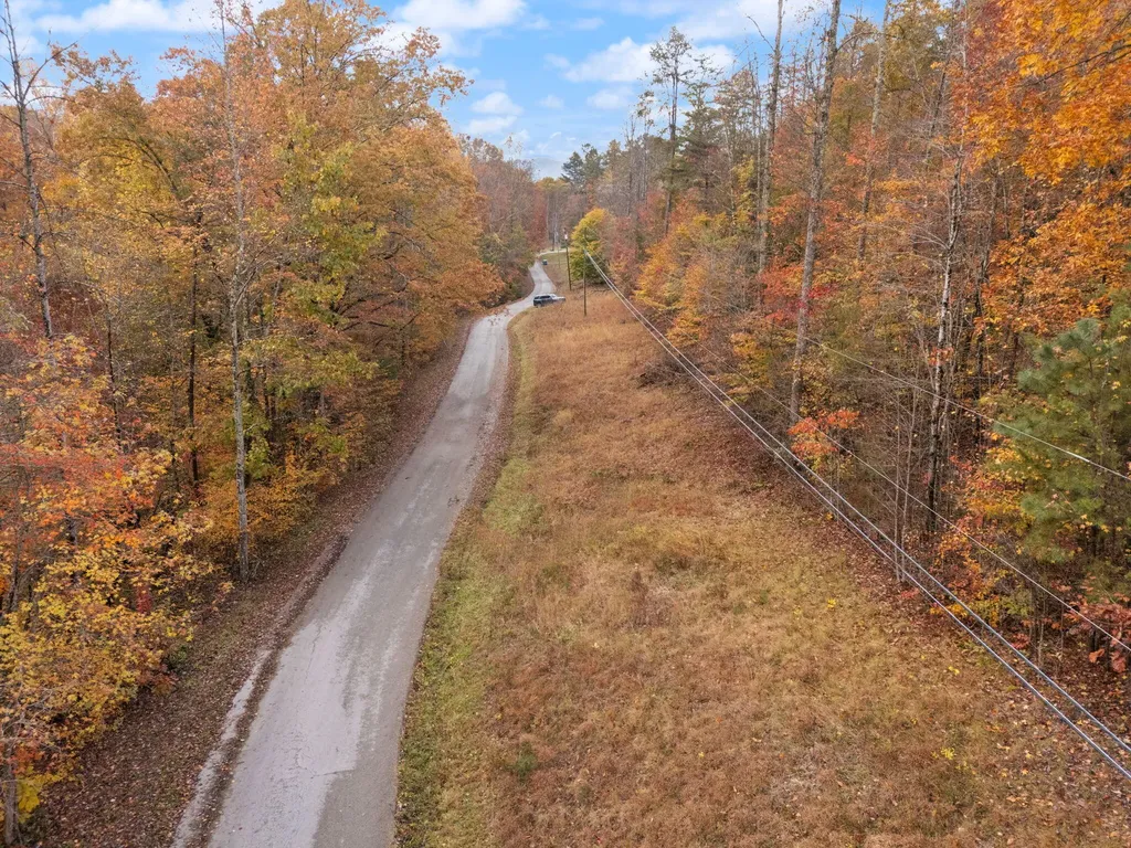0000 Wild Ridge Road Morehead KY 40351
