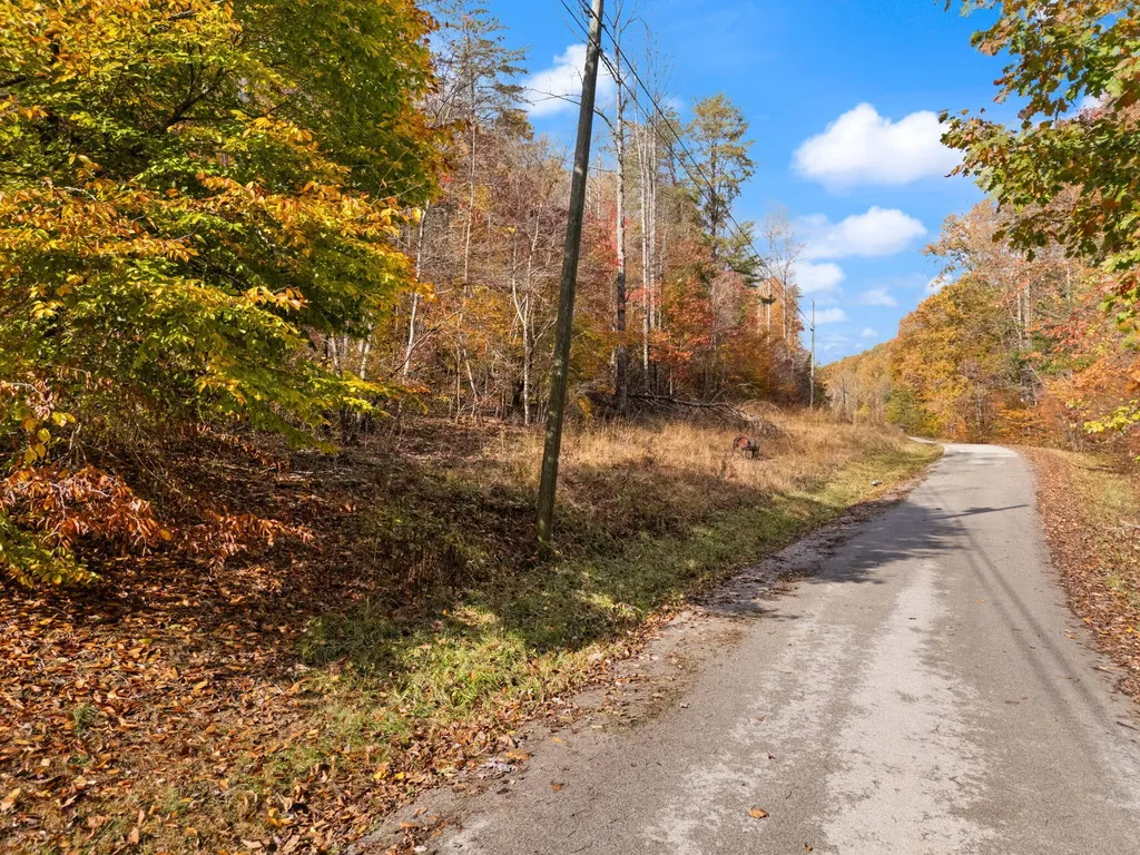 0000 Wild Ridge Road Morehead KY 40351