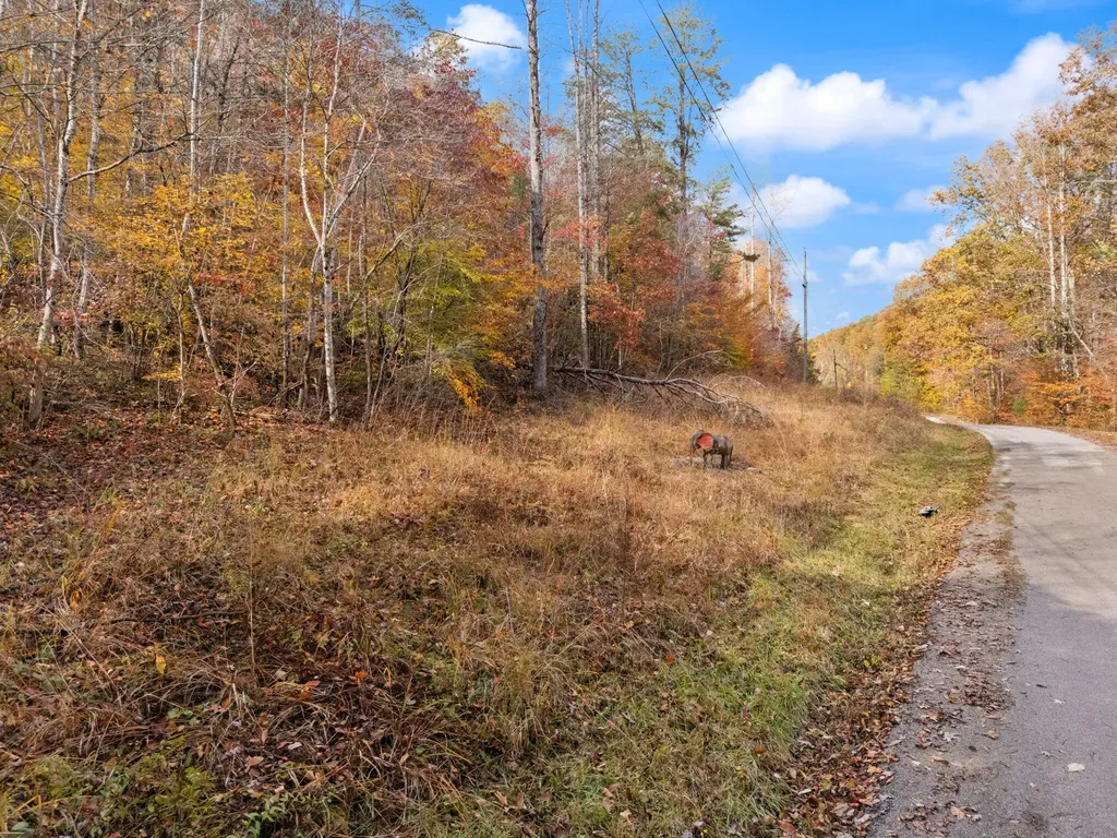 0000 Wild Ridge Road Morehead KY 40351