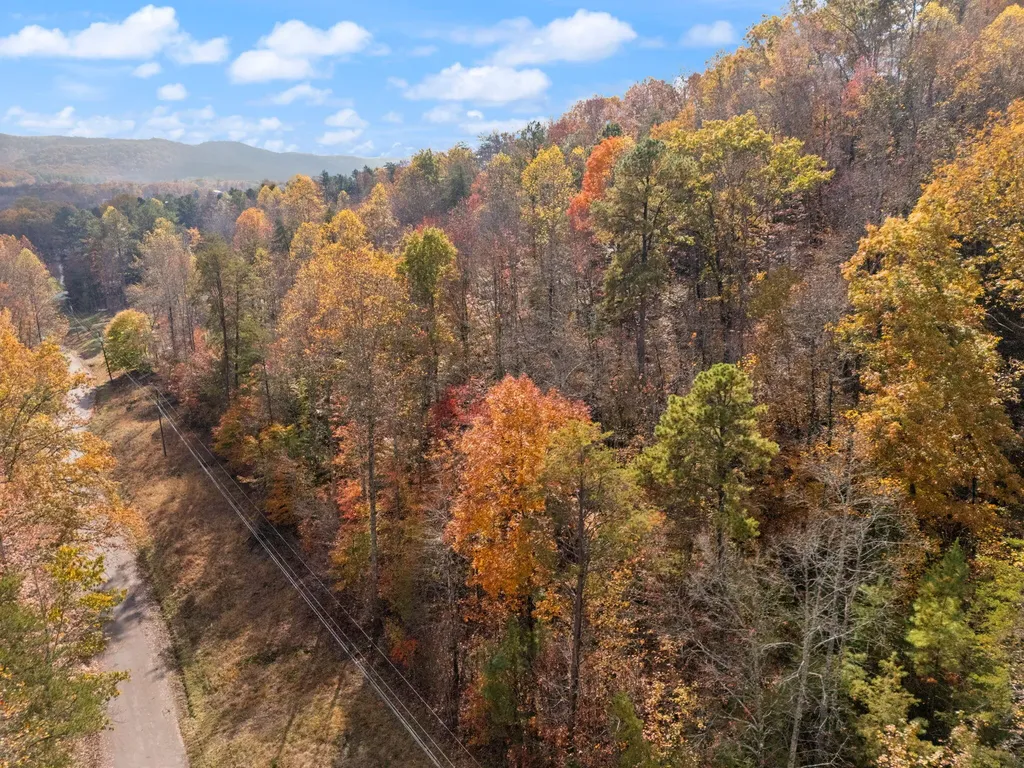 0000 Wild Ridge Road Morehead KY 40351