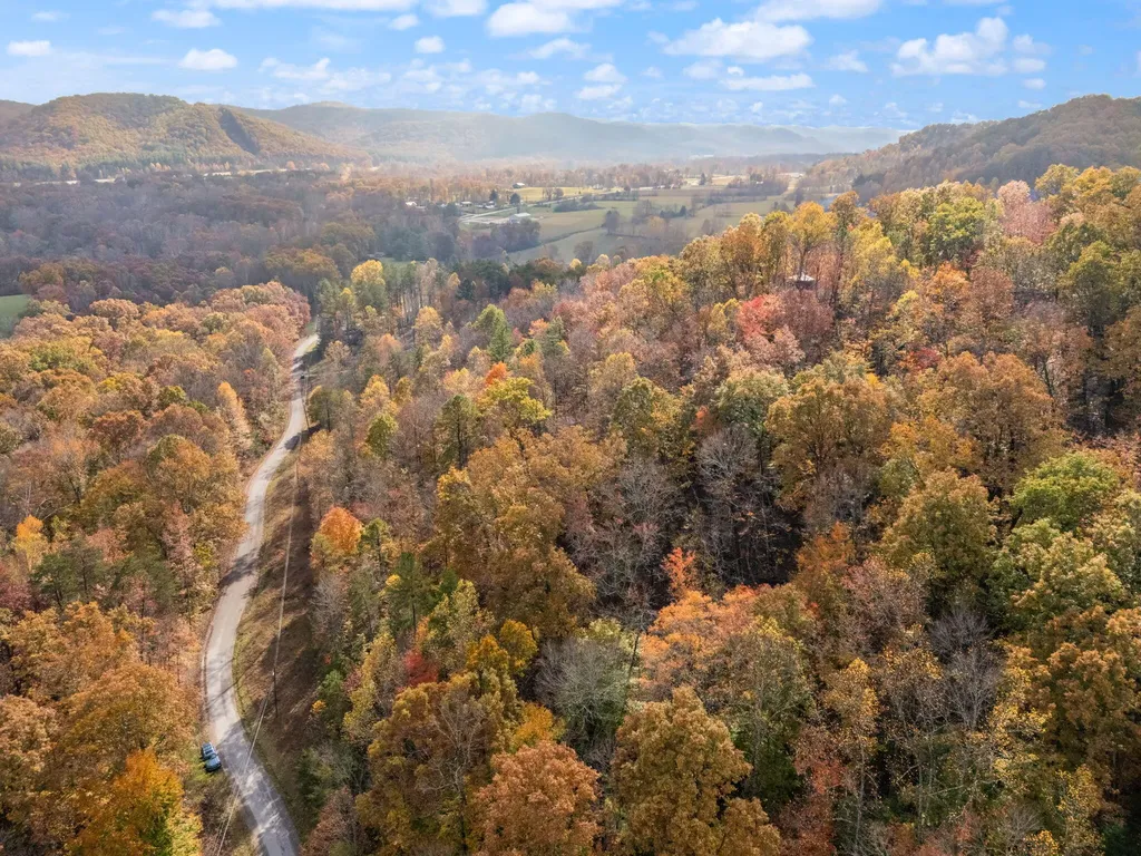 0000 Wild Ridge Road Morehead KY 40351