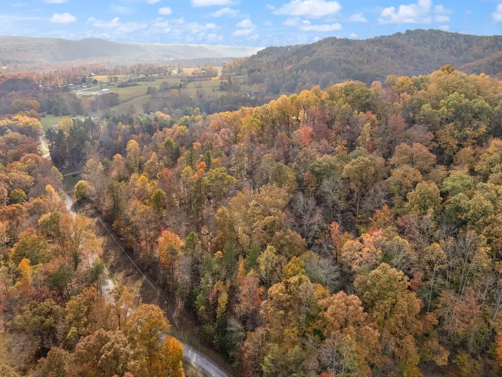 0000 Wild Ridge Road Morehead KY 40351