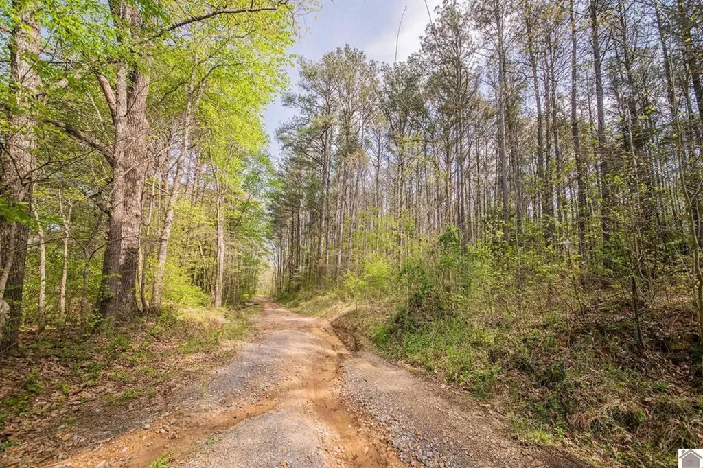84 Launch Lane Murray KY 42071